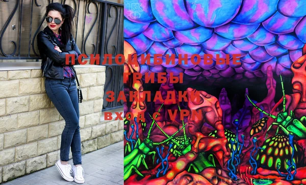 apvp Мегион