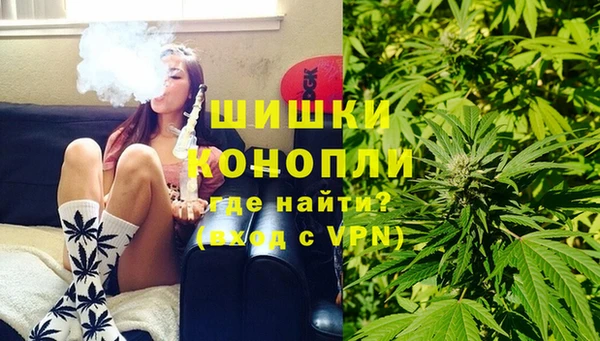 ПСИЛОЦИБИНОВЫЕ ГРИБЫ Михайловск